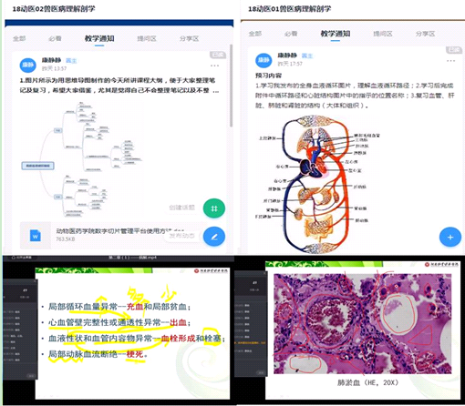 康静静等老师通过“学习圈”发布课程资源、直播+标记书写授课、“互动面板”与学生进行提问互动